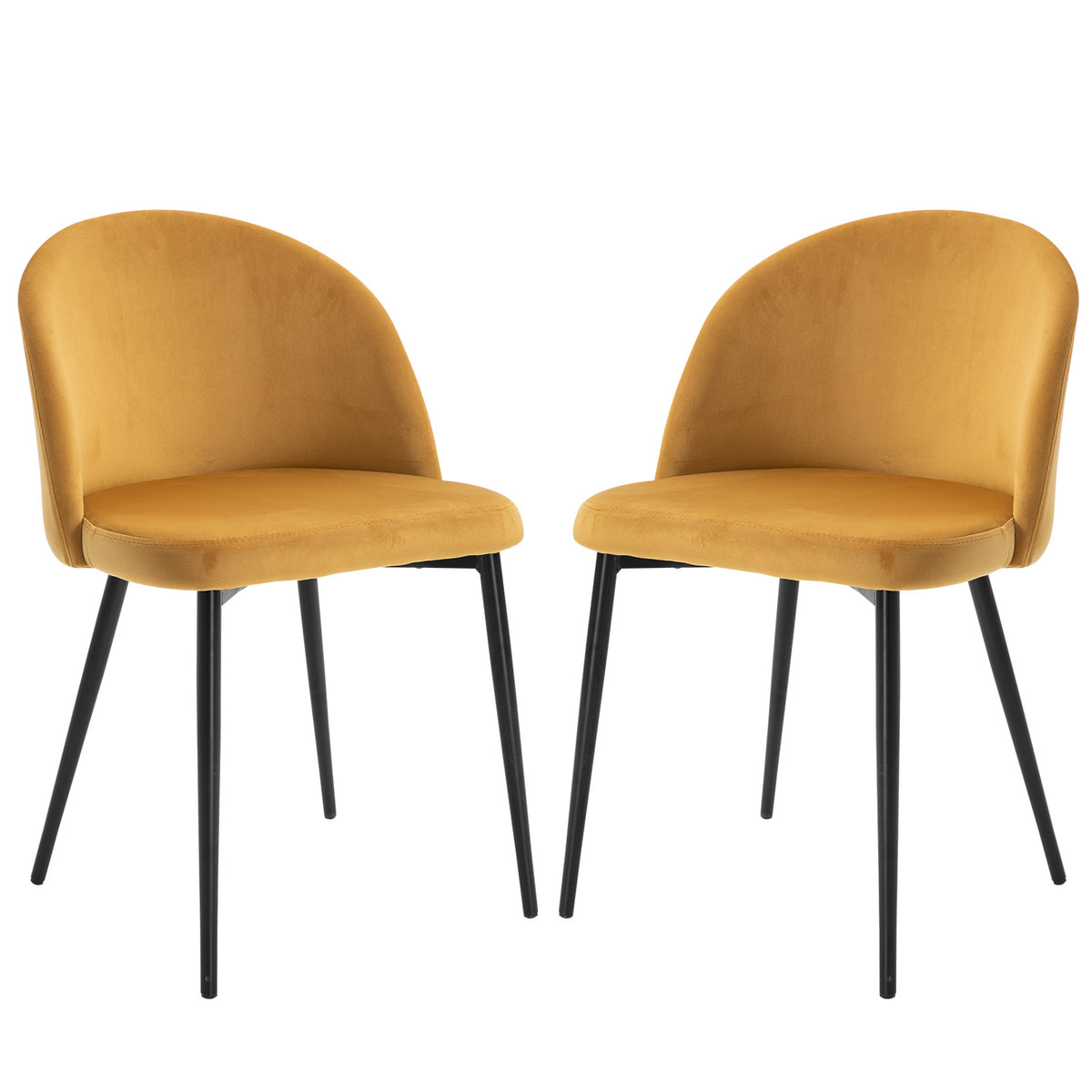 Lot de 2 chaises velours moutarde, pieds métal noir, sur fond blanc